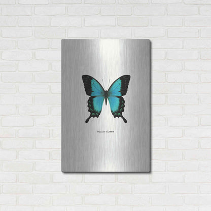 Luxe Metal Art 'Blue Butterfly' by GraphINC, Metal Wall Art,24x36