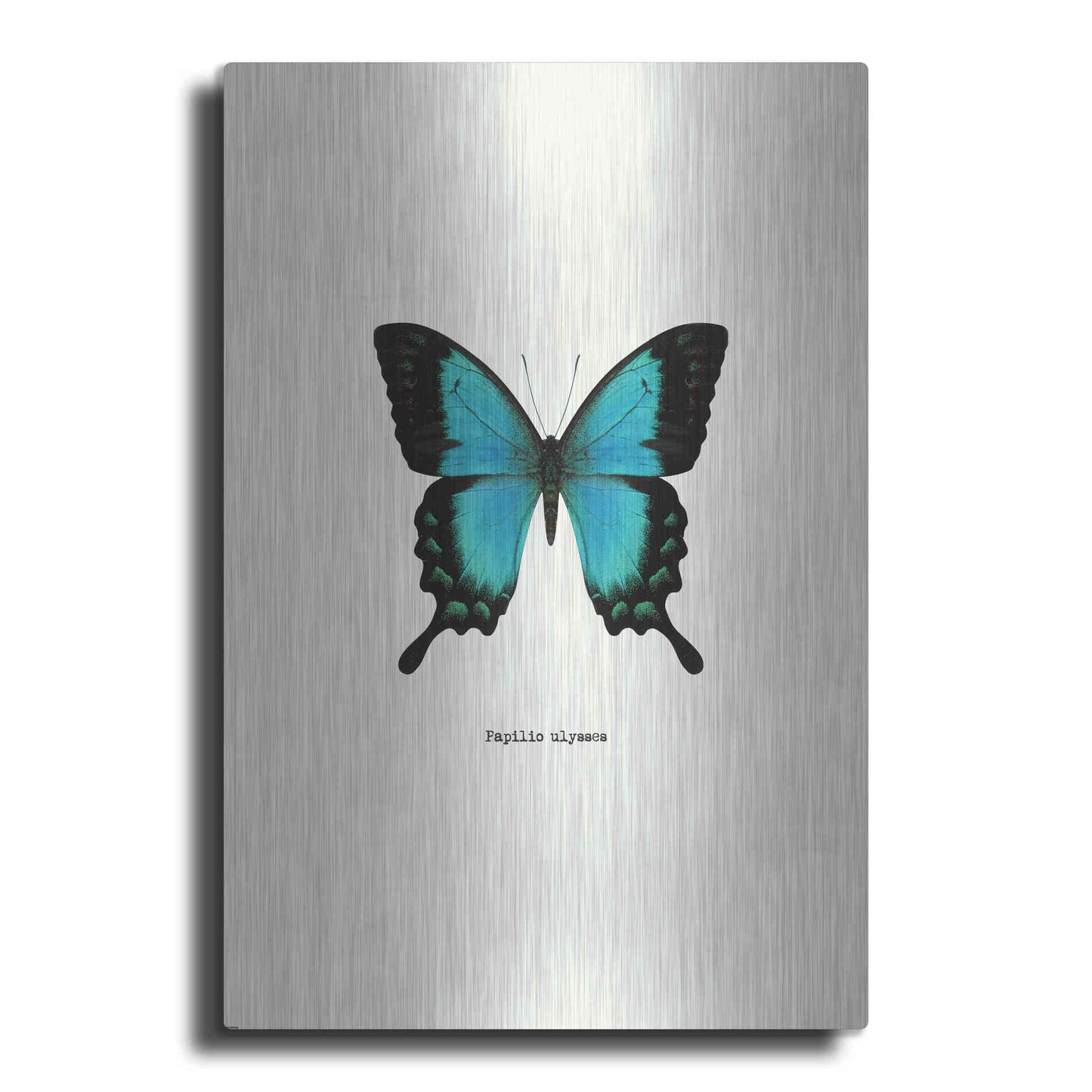 Luxe Metal Art 'Blue Butterfly' by GraphINC, Metal Wall Art