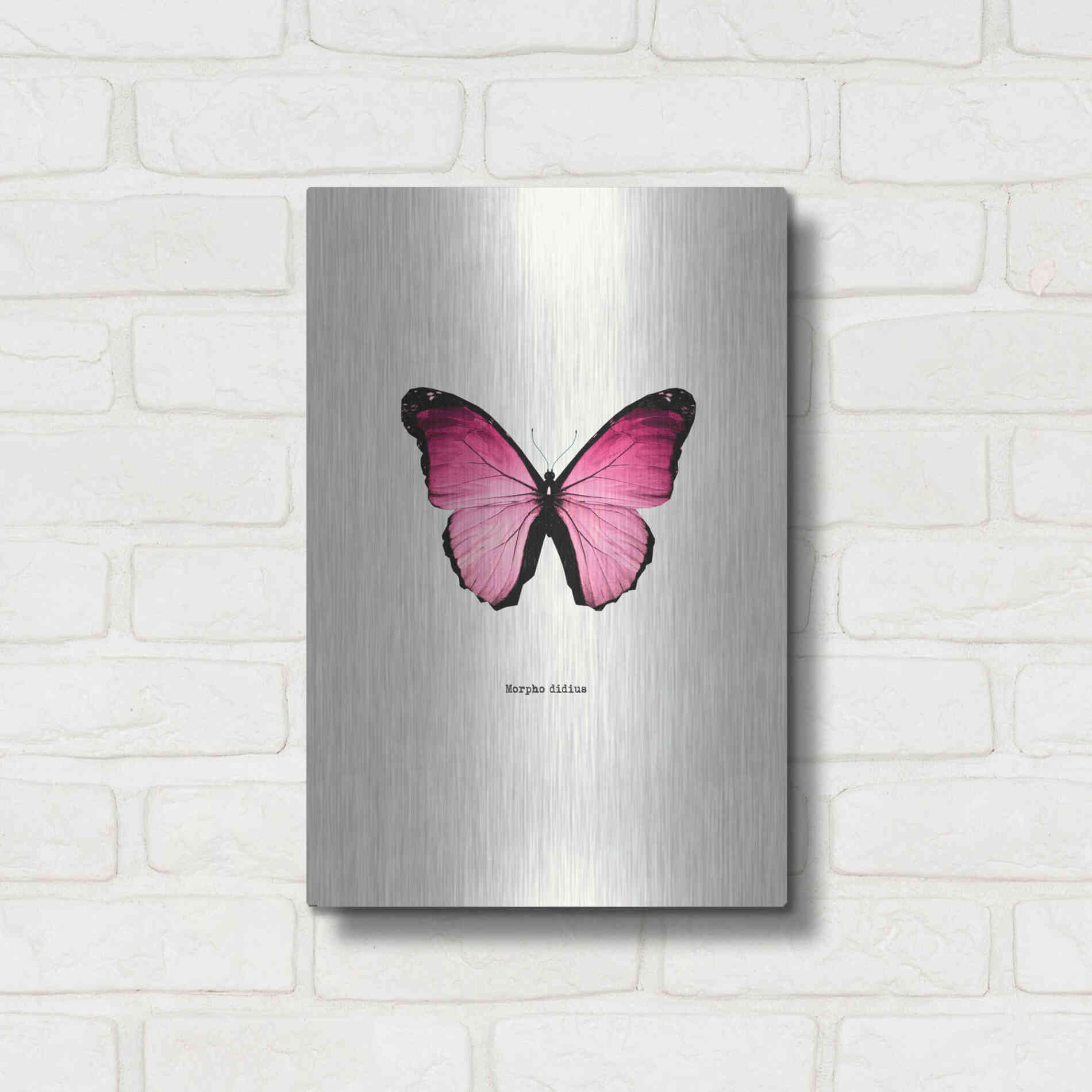 Luxe Metal Art 'Pink Butterfly' by GraphINC, Metal Wall Art,12x16