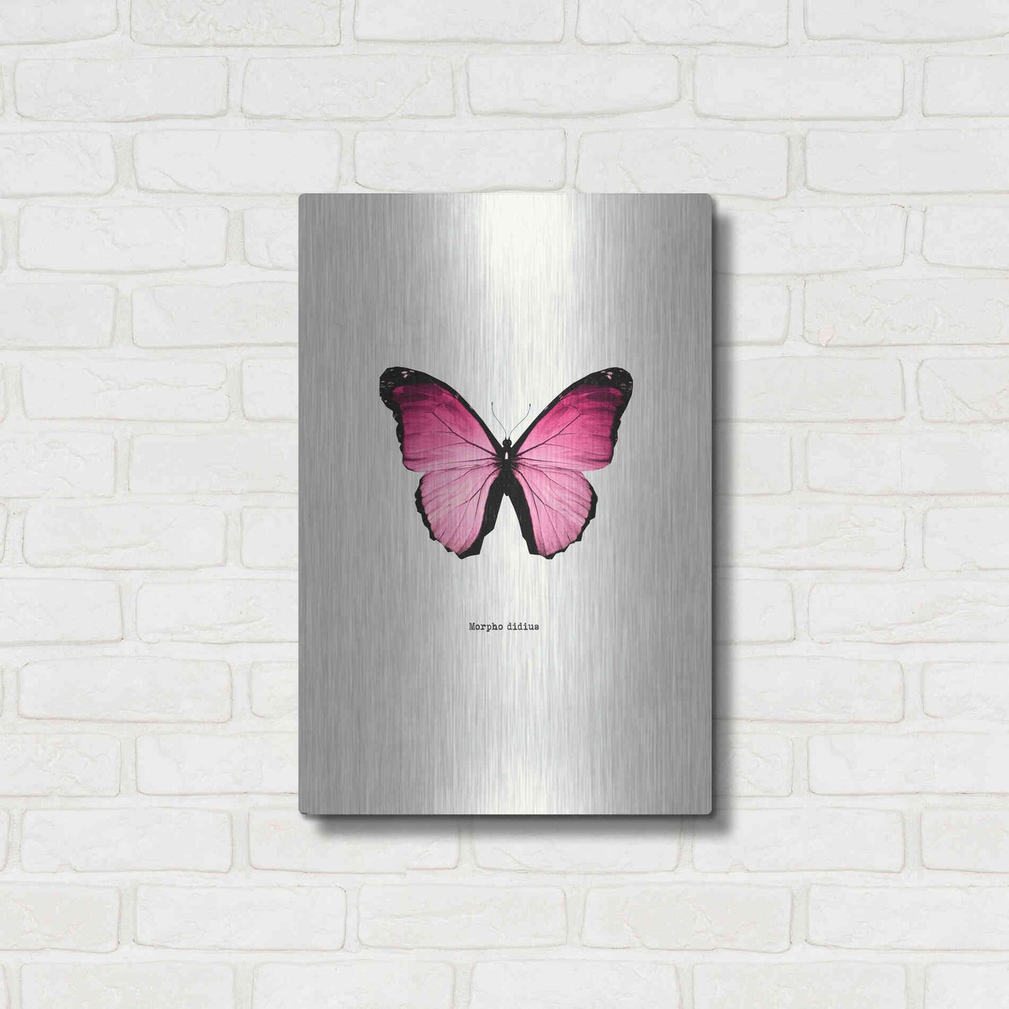 Luxe Metal Art 'Pink Butterfly' by GraphINC, Metal Wall Art,16x24