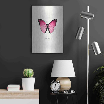 Luxe Metal Art 'Pink Butterfly' by GraphINC, Metal Wall Art,16x24