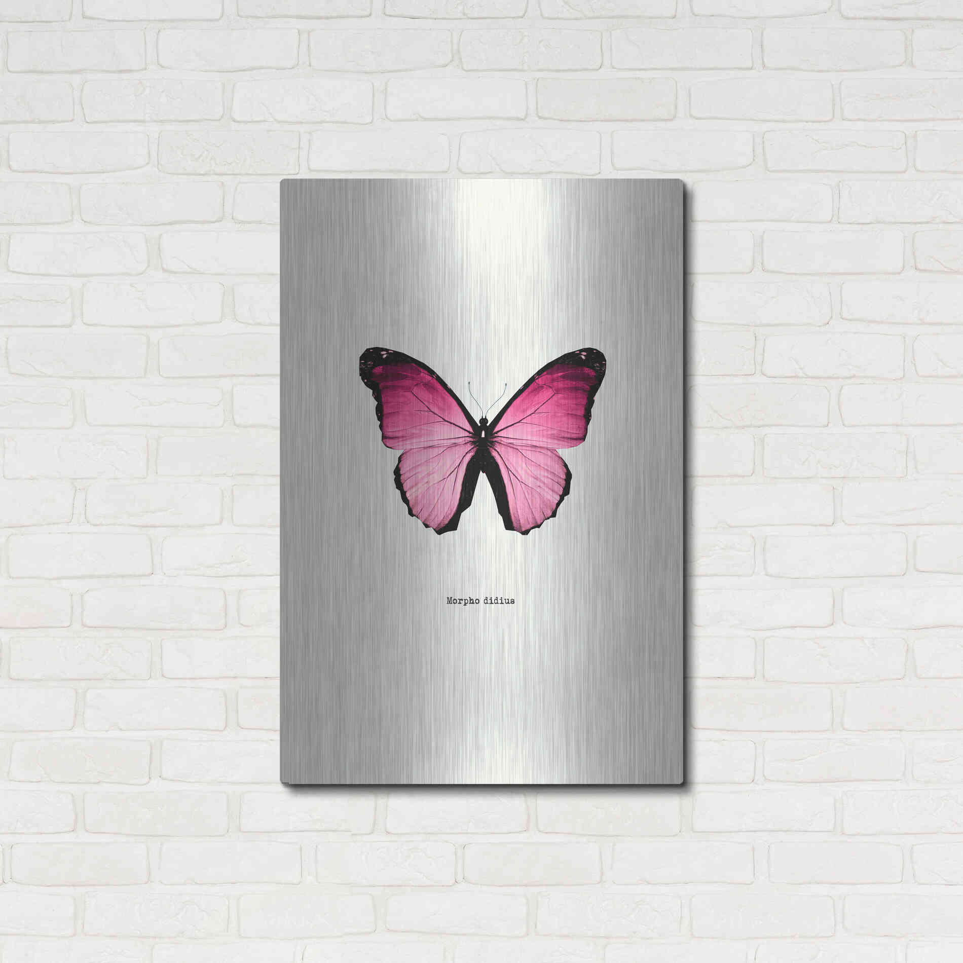 Luxe Metal Art 'Pink Butterfly' by GraphINC, Metal Wall Art,24x36