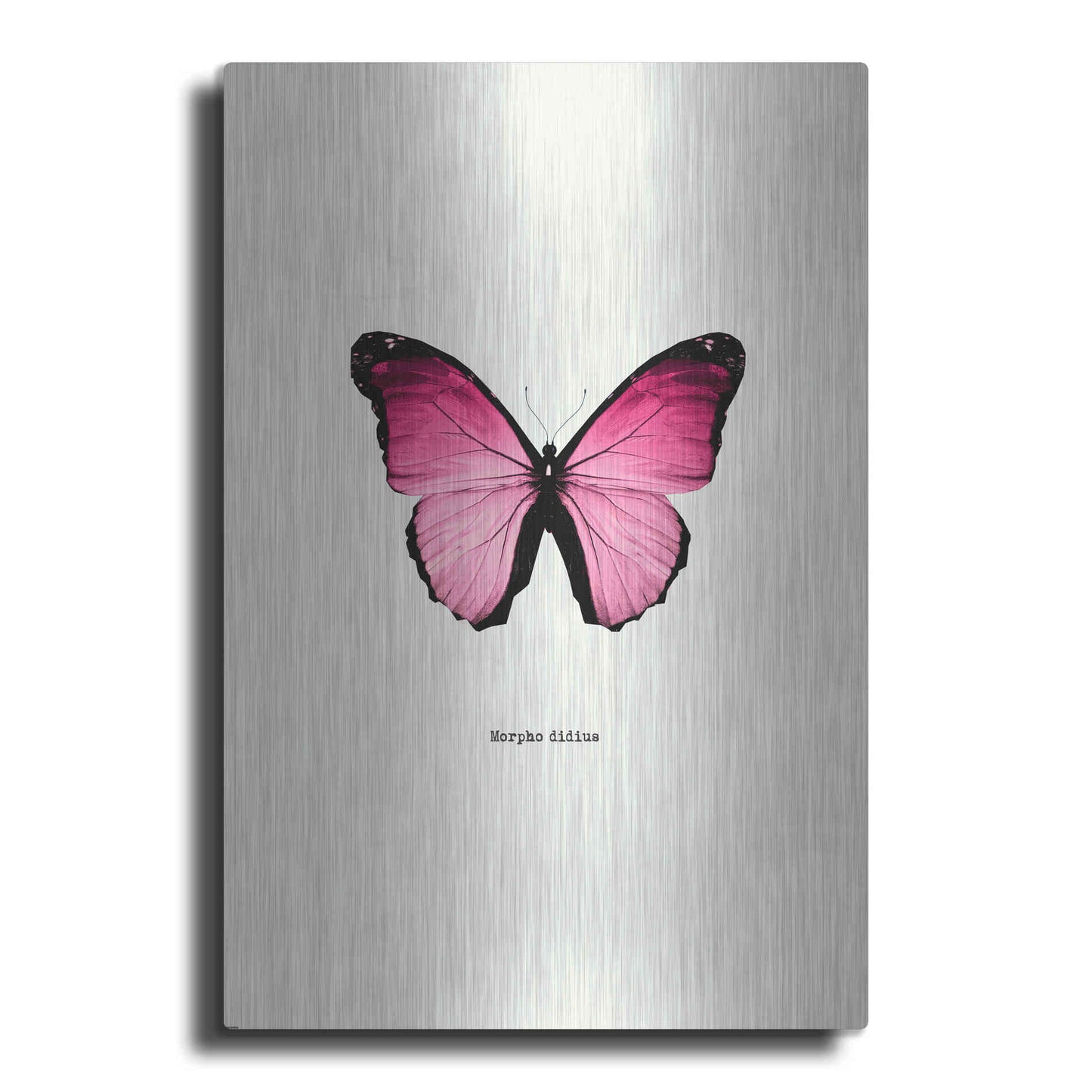 Luxe Metal Art 'Pink Butterfly' by GraphINC, Metal Wall Art