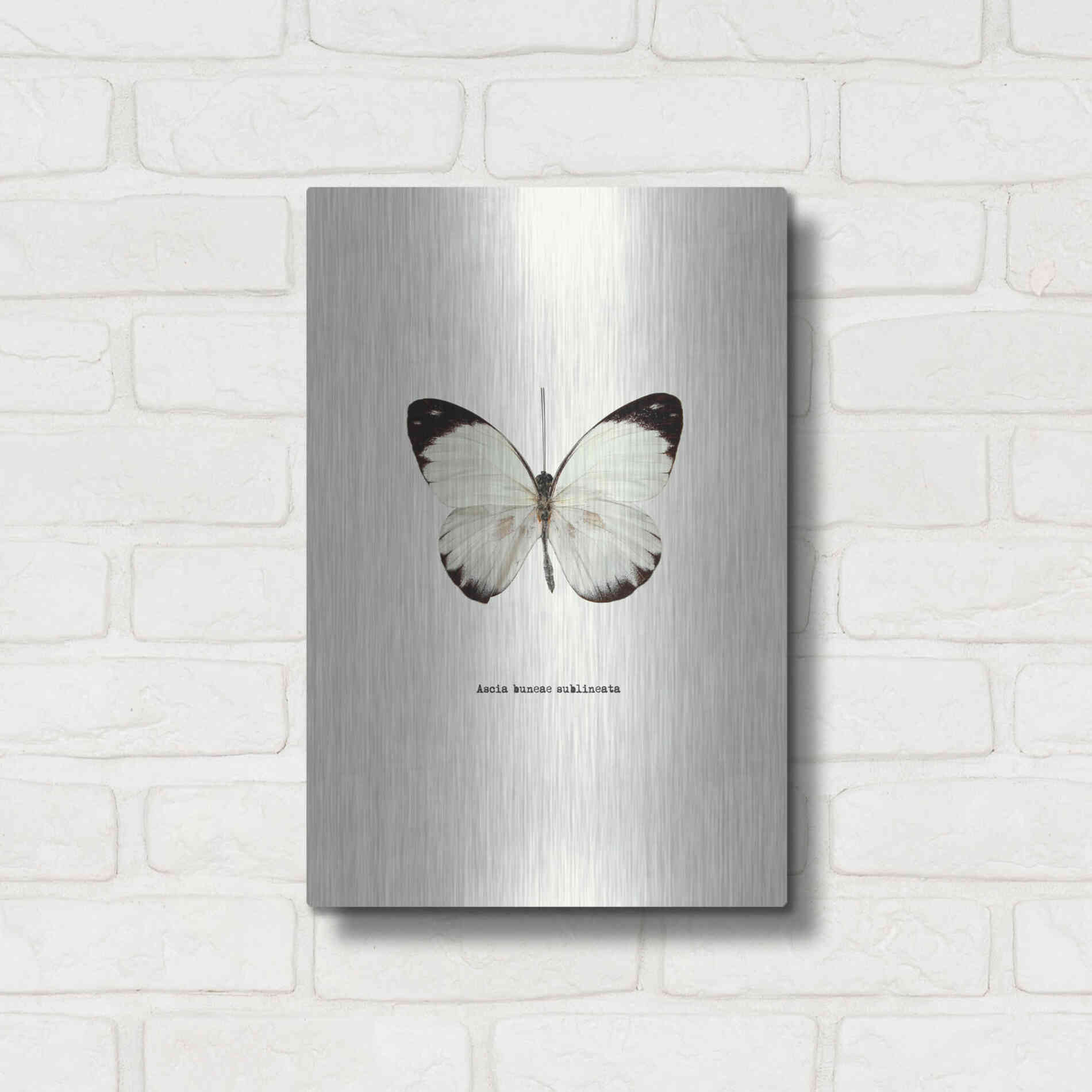 Luxe Metal Art 'White Butterfly' by GraphINC, Metal Wall Art,12x16