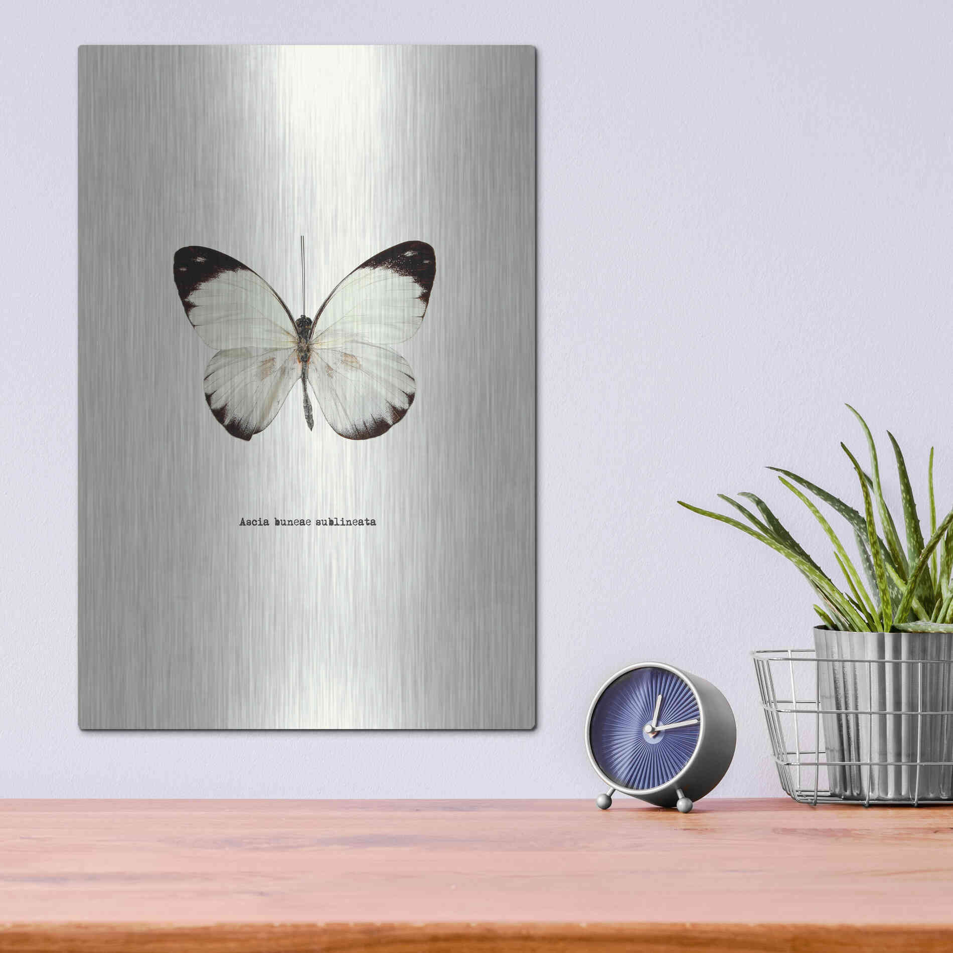 Luxe Metal Art 'White Butterfly' by GraphINC, Metal Wall Art,12x16