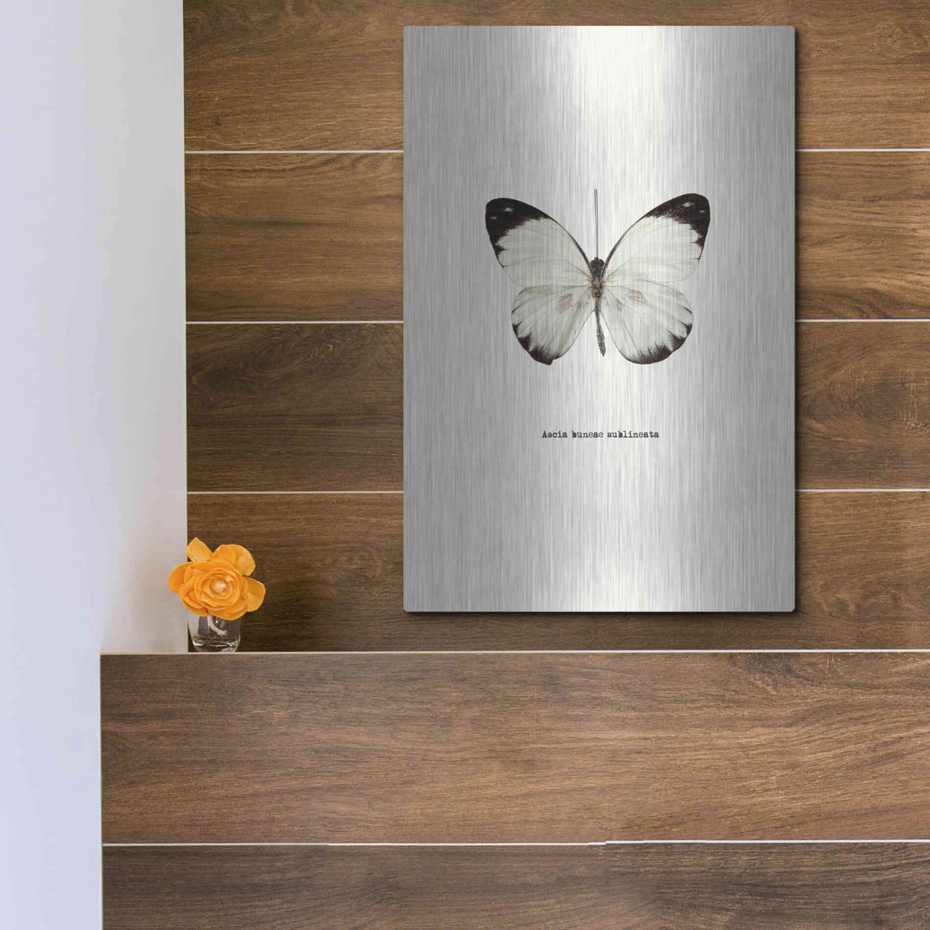 Luxe Metal Art 'White Butterfly' by GraphINC, Metal Wall Art,12x16