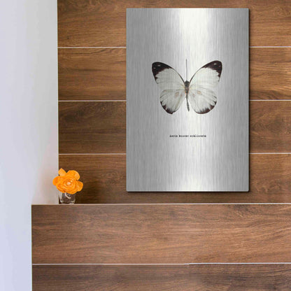 Luxe Metal Art 'White Butterfly' by GraphINC, Metal Wall Art,12x16