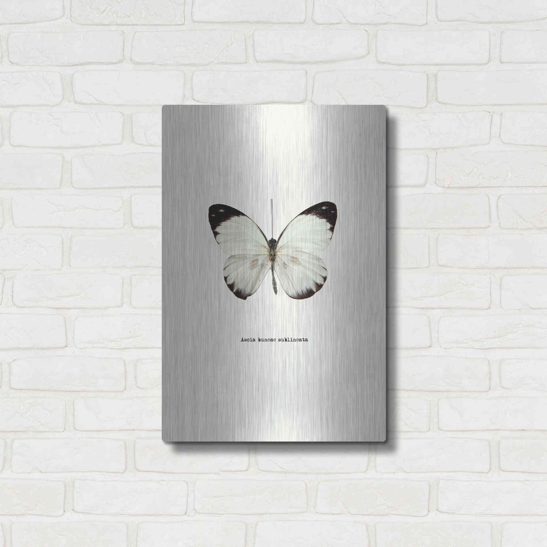 Luxe Metal Art 'White Butterfly' by GraphINC, Metal Wall Art,16x24