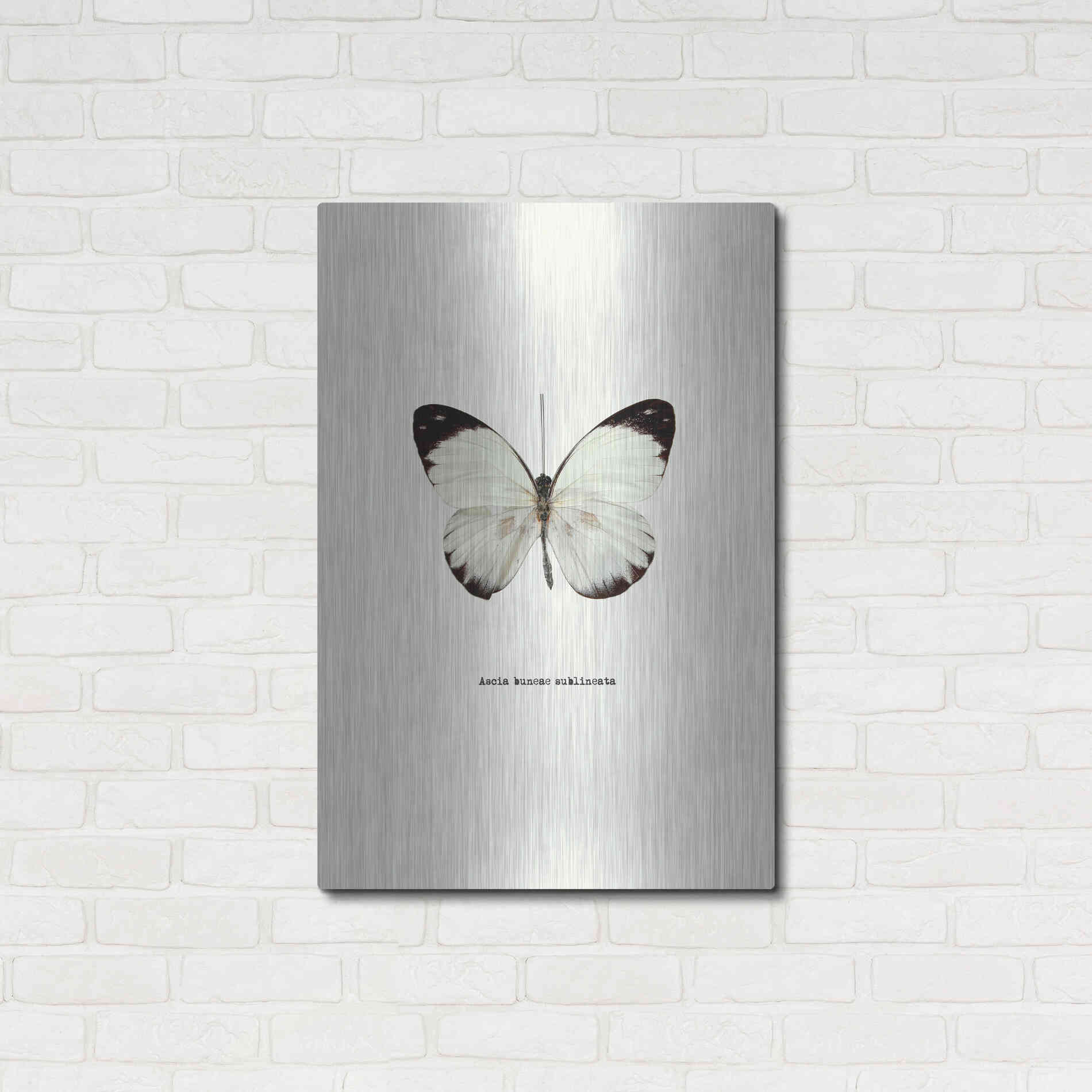 Luxe Metal Art 'White Butterfly' by GraphINC, Metal Wall Art,24x36