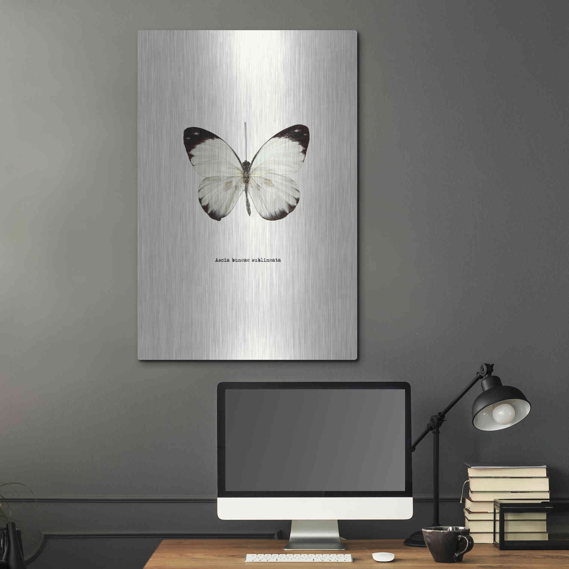 Luxe Metal Art 'White Butterfly' by GraphINC, Metal Wall Art,24x36