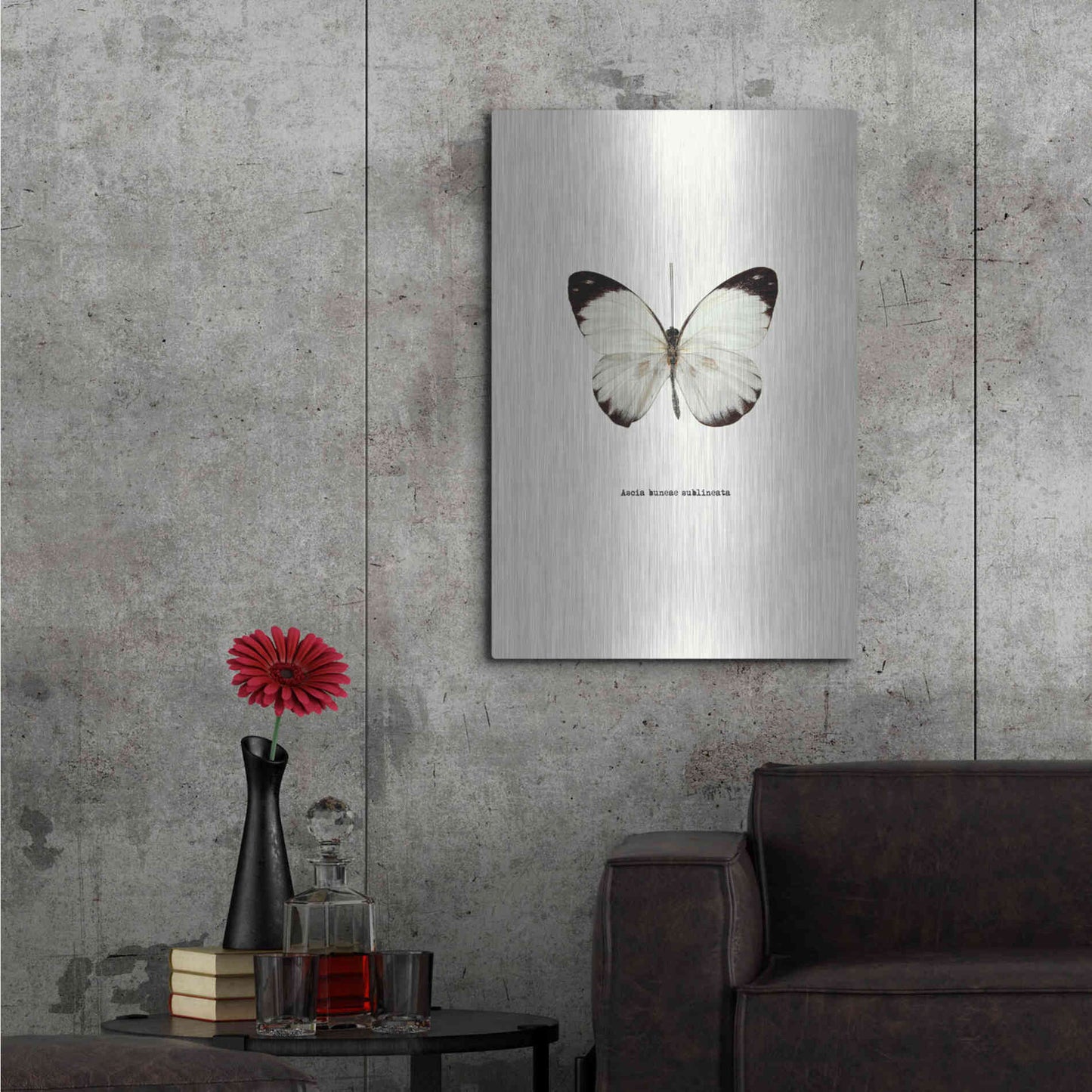 Luxe Metal Art 'White Butterfly' by GraphINC, Metal Wall Art,24x36