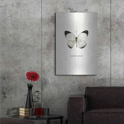 Luxe Metal Art 'White Butterfly' by GraphINC, Metal Wall Art,24x36