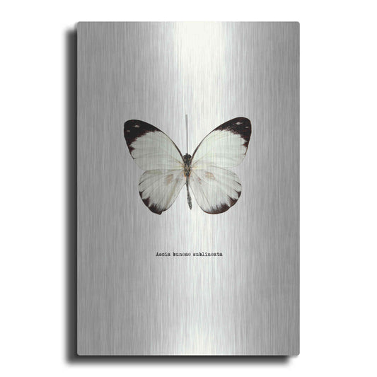 Luxe Metal Art 'White Butterfly' by GraphINC, Metal Wall Art