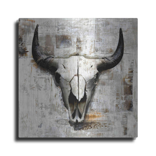 Luxe Metal Art 'White Cowskull' by GraphINC, Metal Wall Art