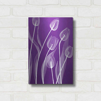 Luxe Metal Art 'X-ray Flowers Purple' by GraphINC, Metal Wall Art,12x16