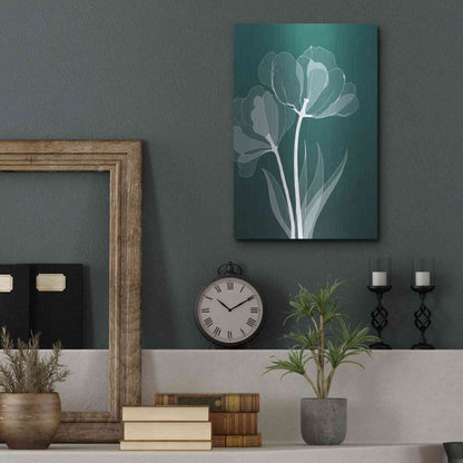 Luxe Metal Art 'X-ray Flowers Green' by GraphINC, Metal Wall Art,12x16