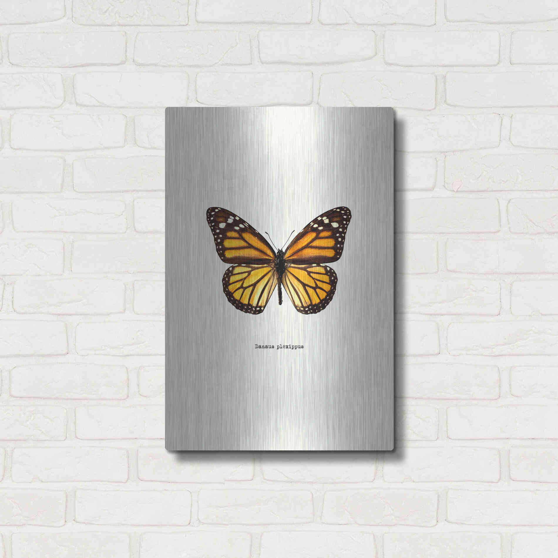 Luxe Metal Art 'Yellow Butterfly' by GraphINC, Metal Wall Art,16x24