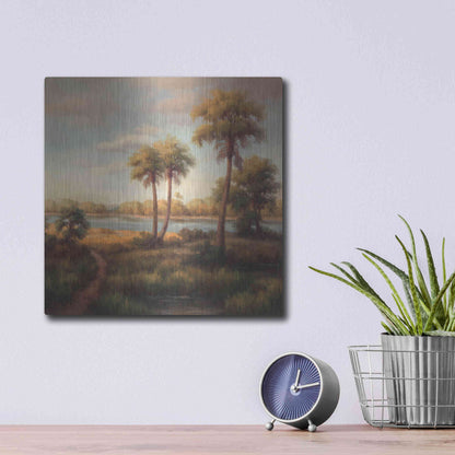 Luxe Metal Art 'In the Tropics I' by Haibin, Metal Wall Art,12x12