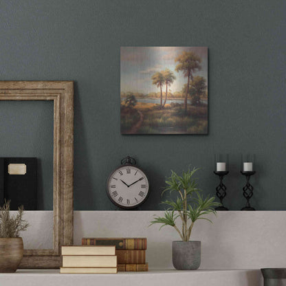 Luxe Metal Art 'In the Tropics I' by Haibin, Metal Wall Art,12x12