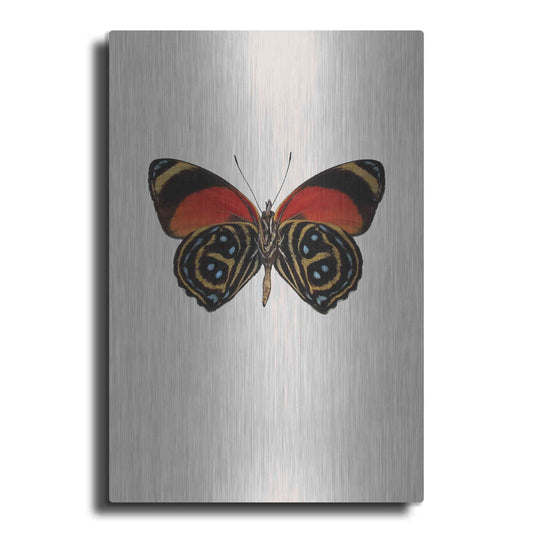 Luxe Metal Art 'Agrias Amydon 1' by Incado, Metal Wall Art