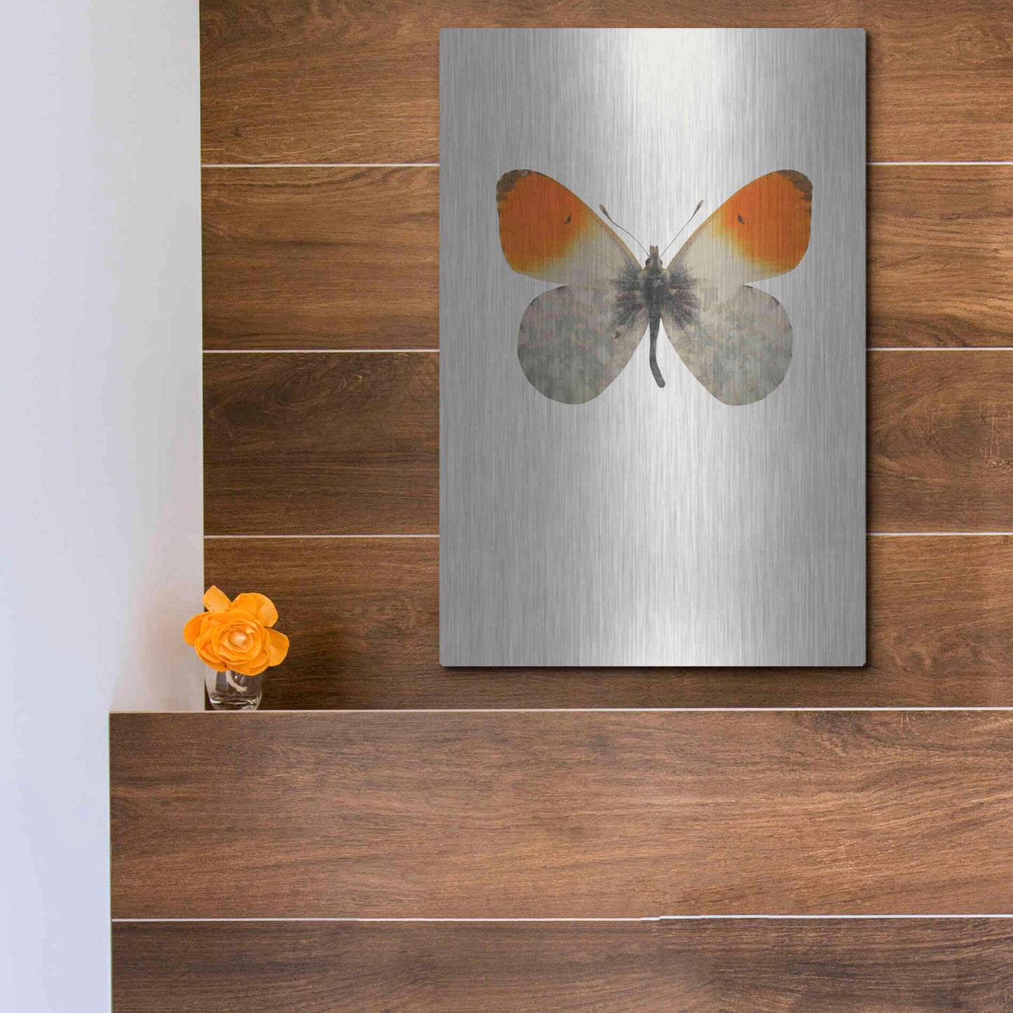 Luxe Metal Art 'Agrias Amydon 2' by Incado, Metal Wall Art,12x16