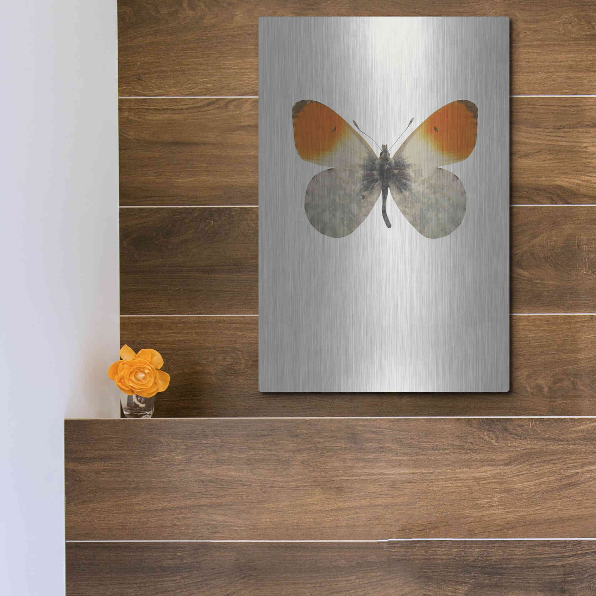 Luxe Metal Art 'Agrias Amydon 2' by Incado, Metal Wall Art,12x16