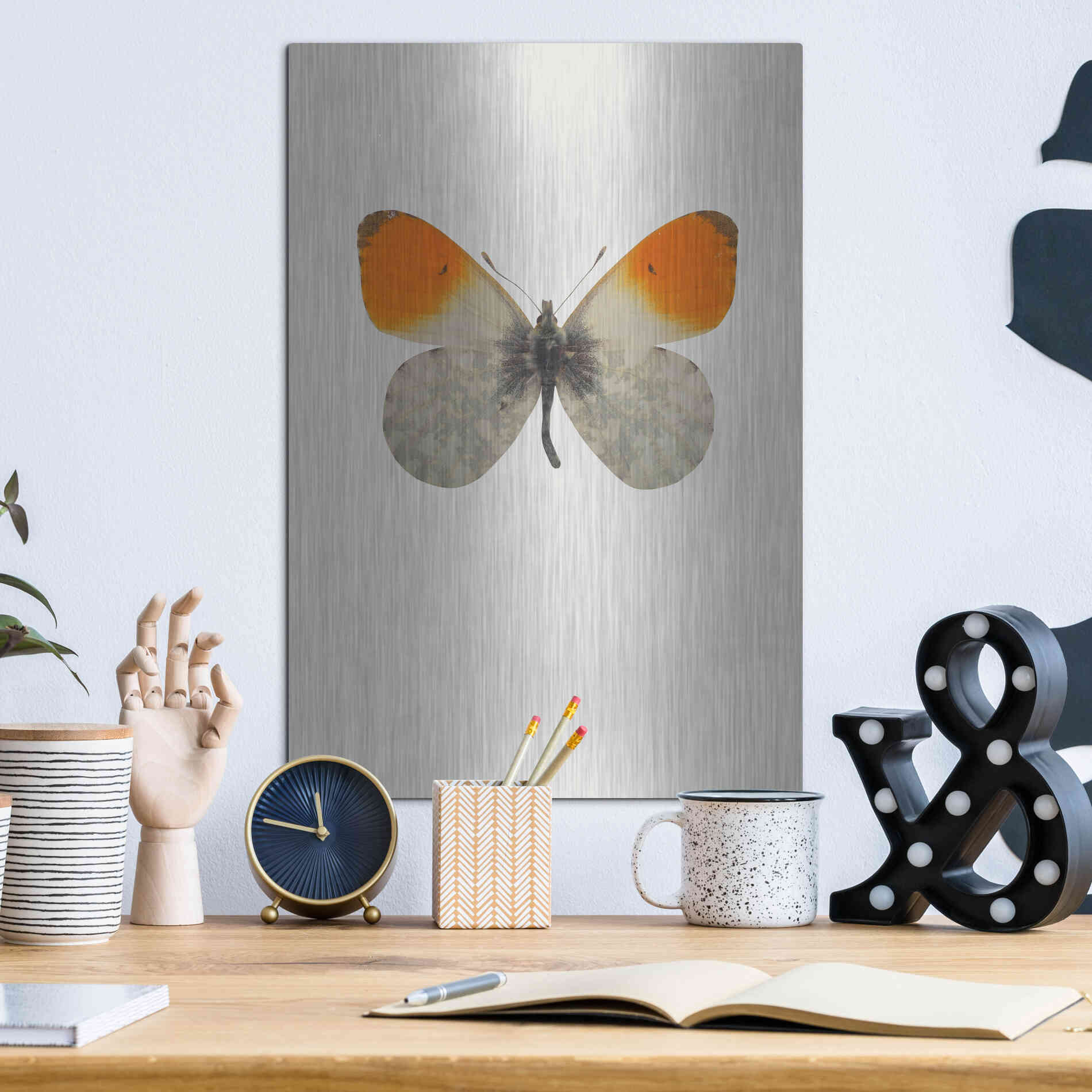 Luxe Metal Art 'Agrias Amydon 2' by Incado, Metal Wall Art,12x16