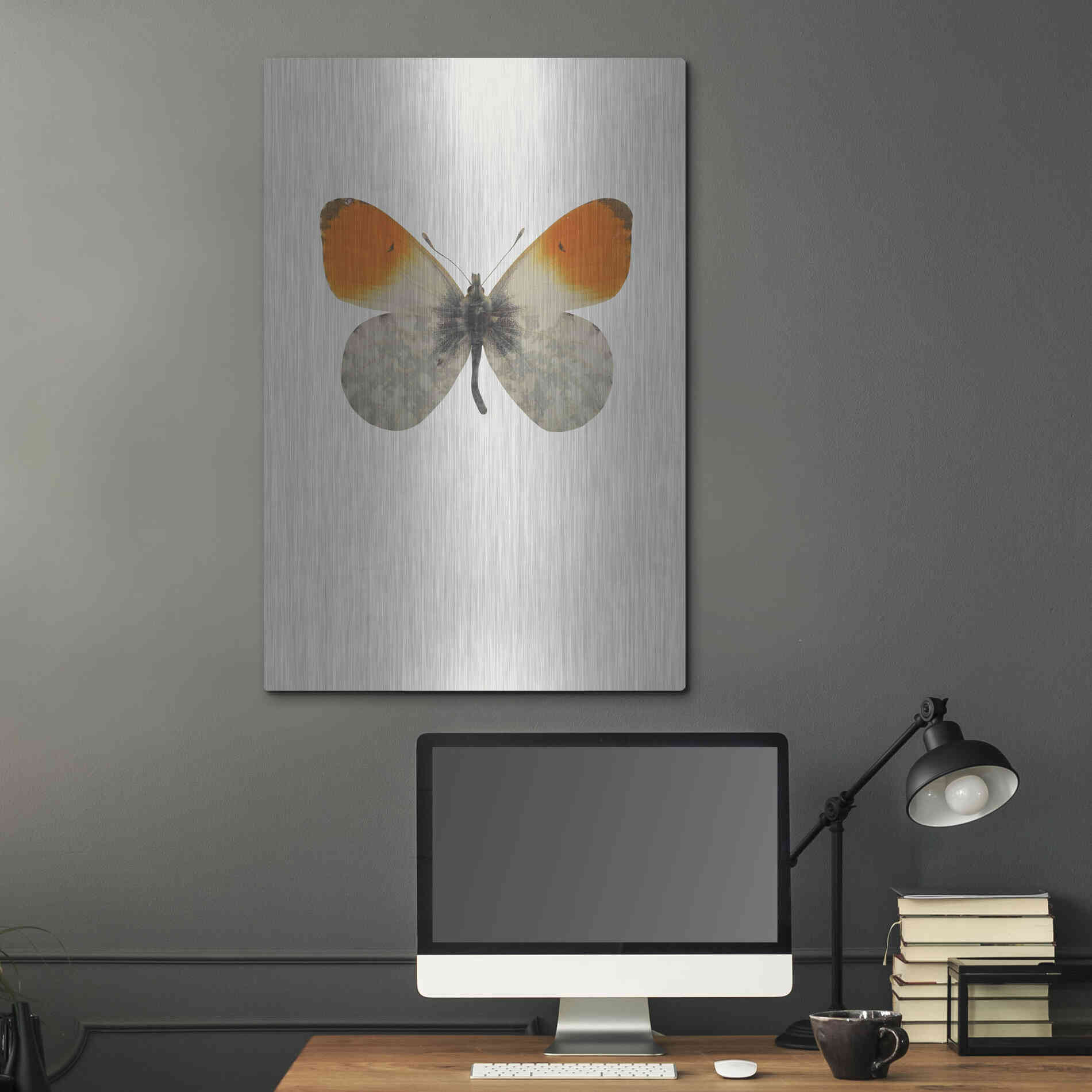 Luxe Metal Art 'Agrias Amydon 2' by Incado, Metal Wall Art,24x36