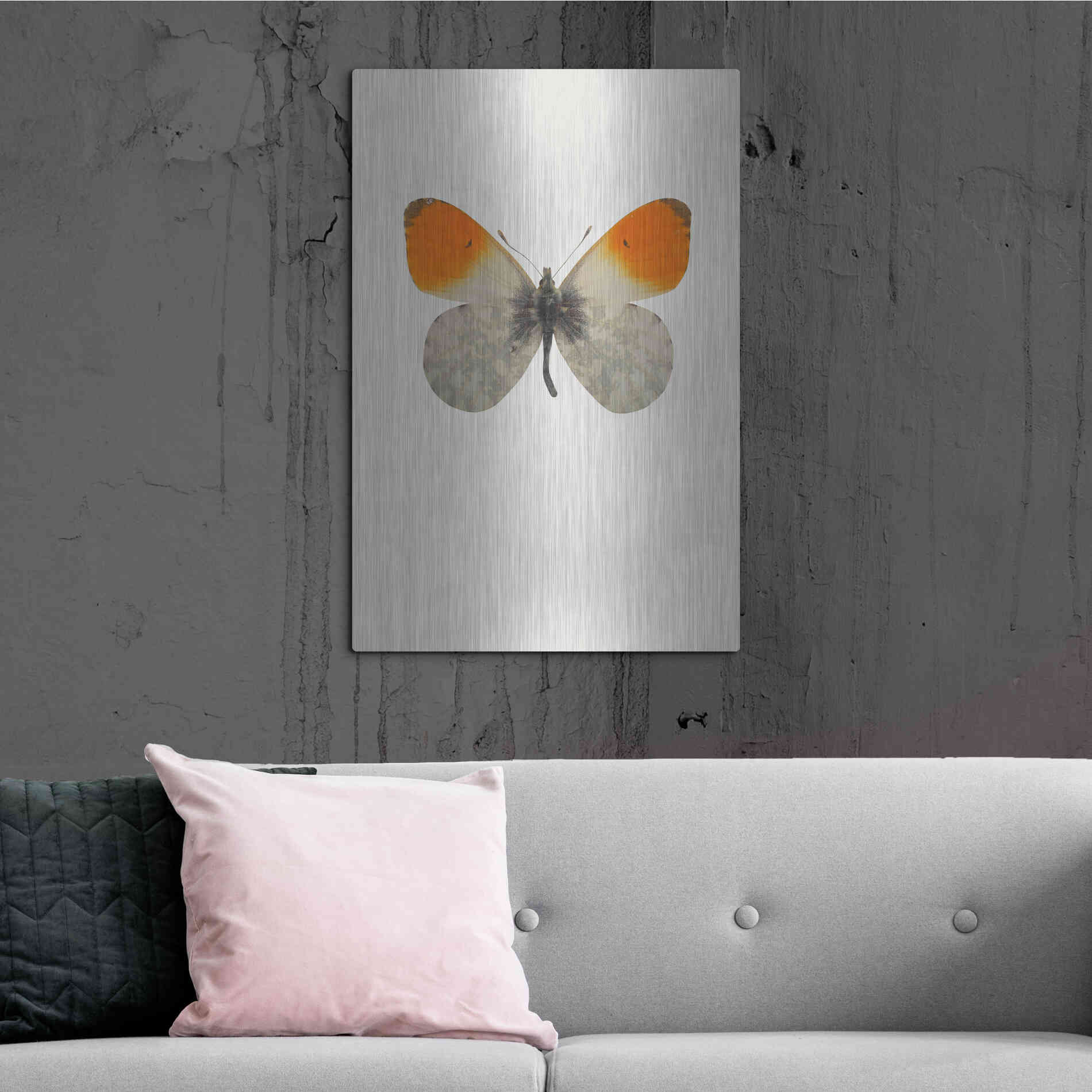 Luxe Metal Art 'Agrias Amydon 2' by Incado, Metal Wall Art,24x36