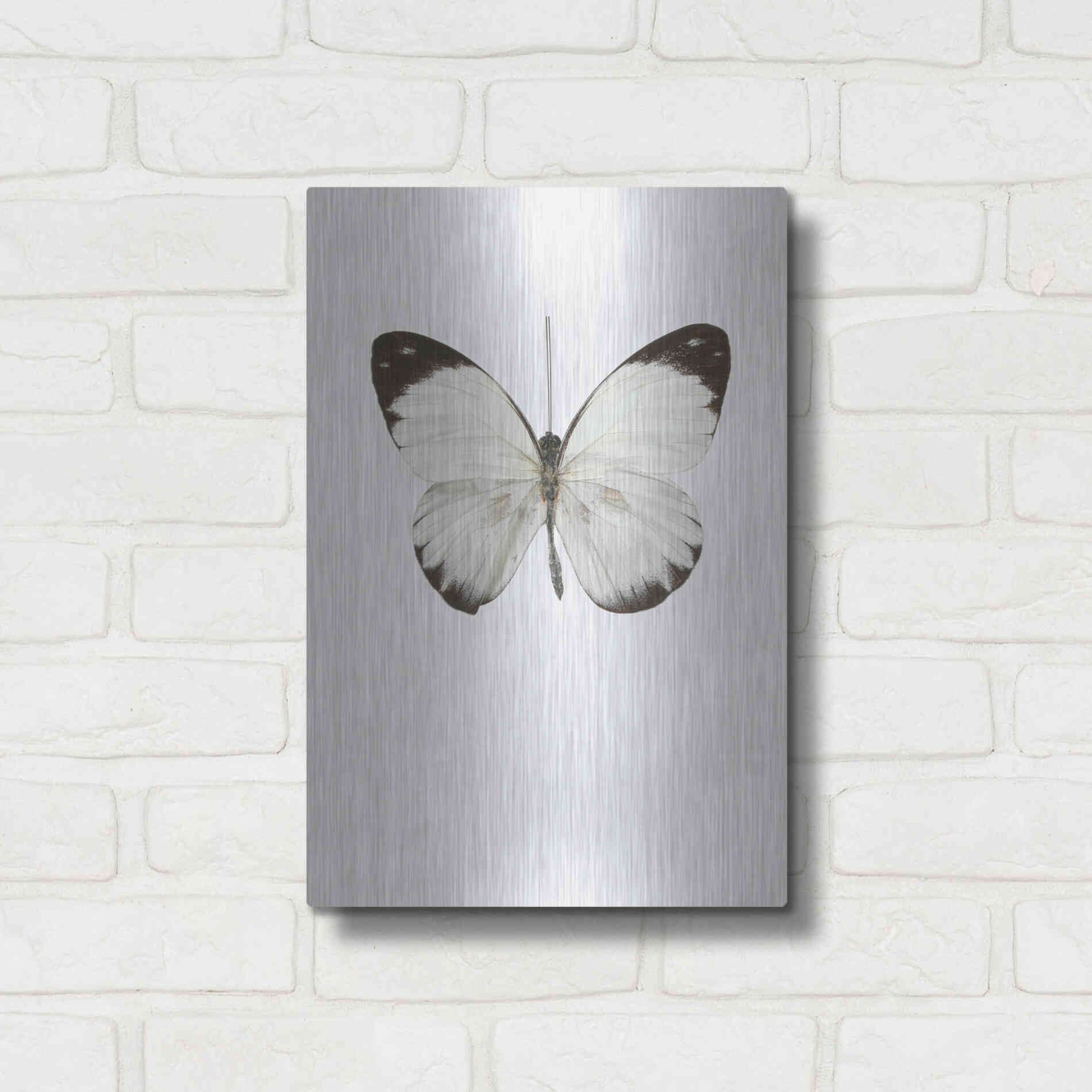 Luxe Metal Art 'Agrias Amydon 3' by Incado, Metal Wall Art,12x16