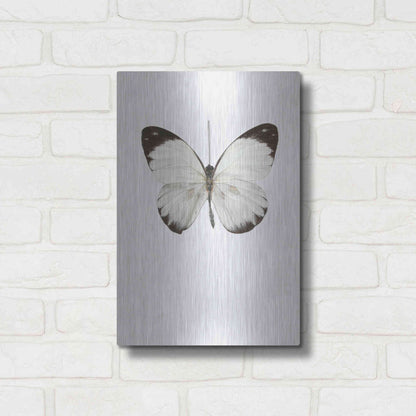 Luxe Metal Art 'Agrias Amydon 3' by Incado, Metal Wall Art,12x16