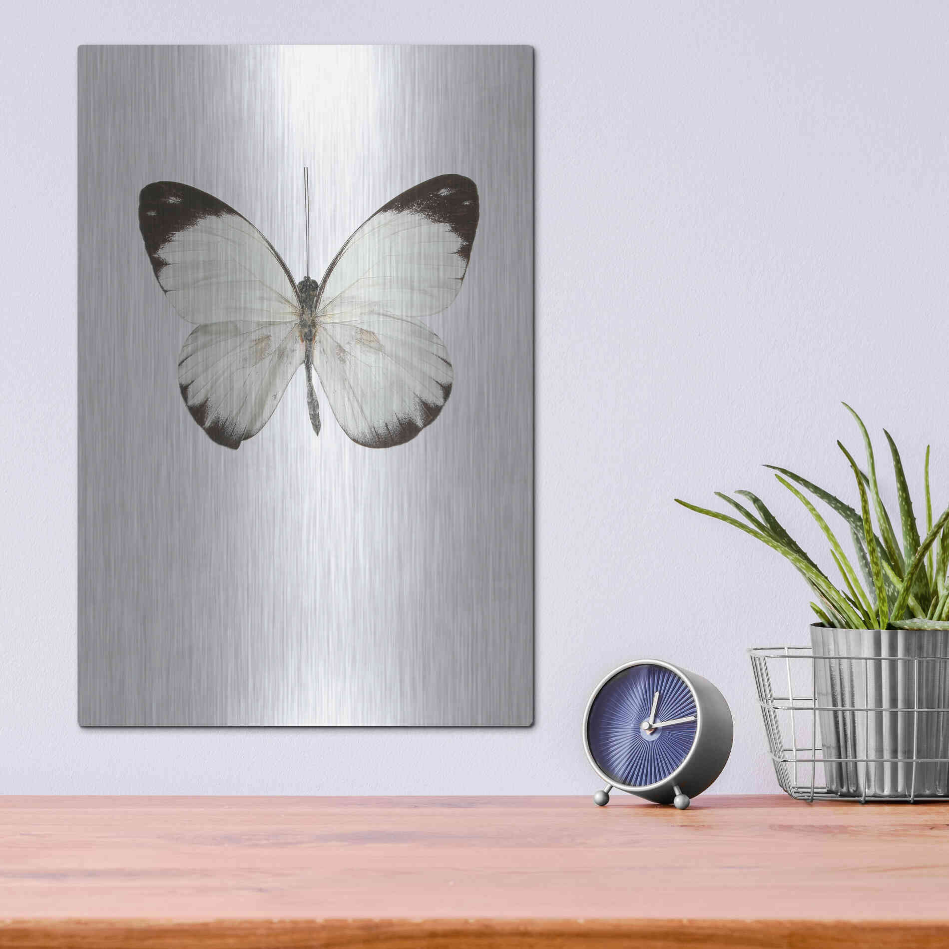 Luxe Metal Art 'Agrias Amydon 3' by Incado, Metal Wall Art,12x16