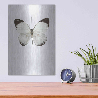 Luxe Metal Art 'Agrias Amydon 3' by Incado, Metal Wall Art,12x16