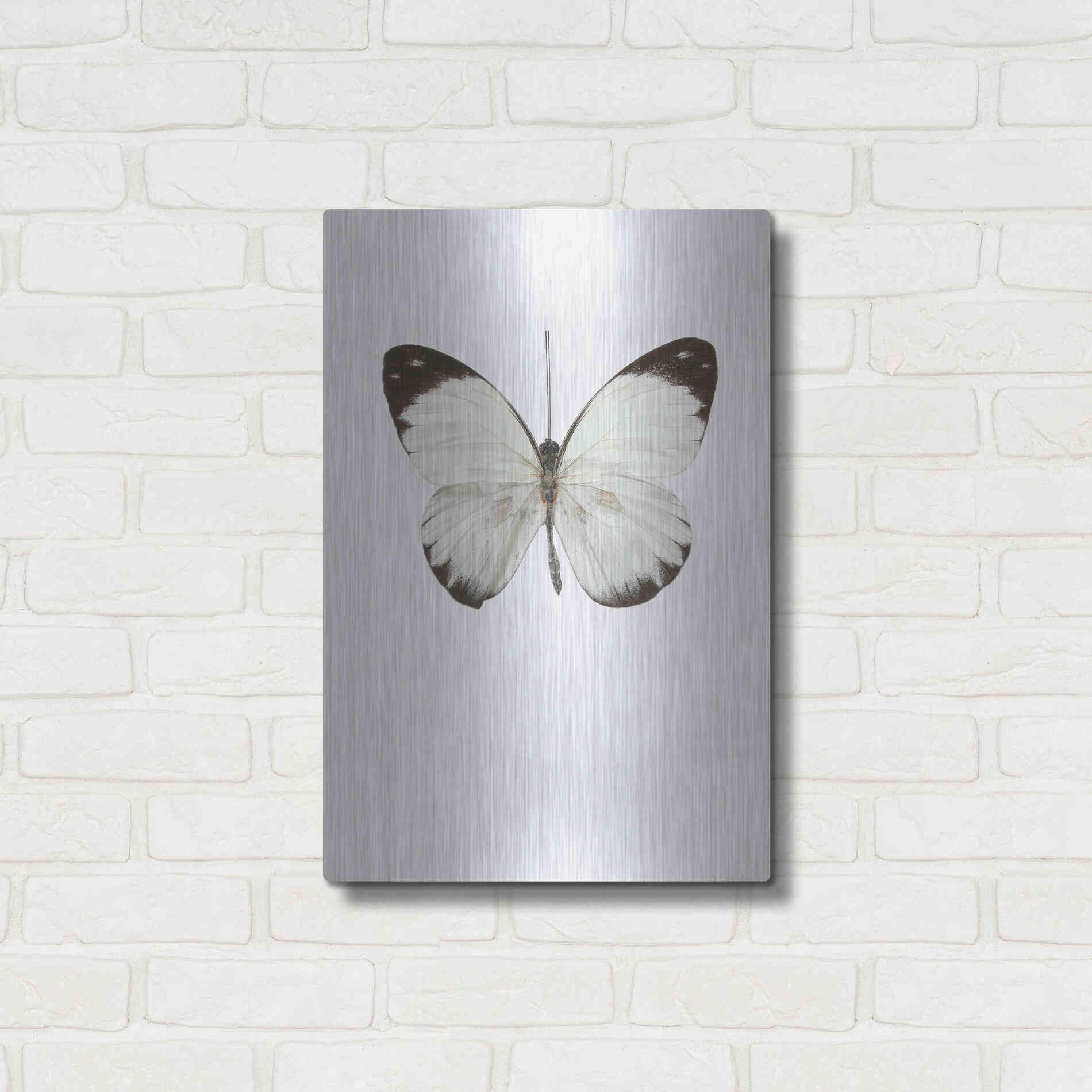 Luxe Metal Art 'Agrias Amydon 3' by Incado, Metal Wall Art,16x24