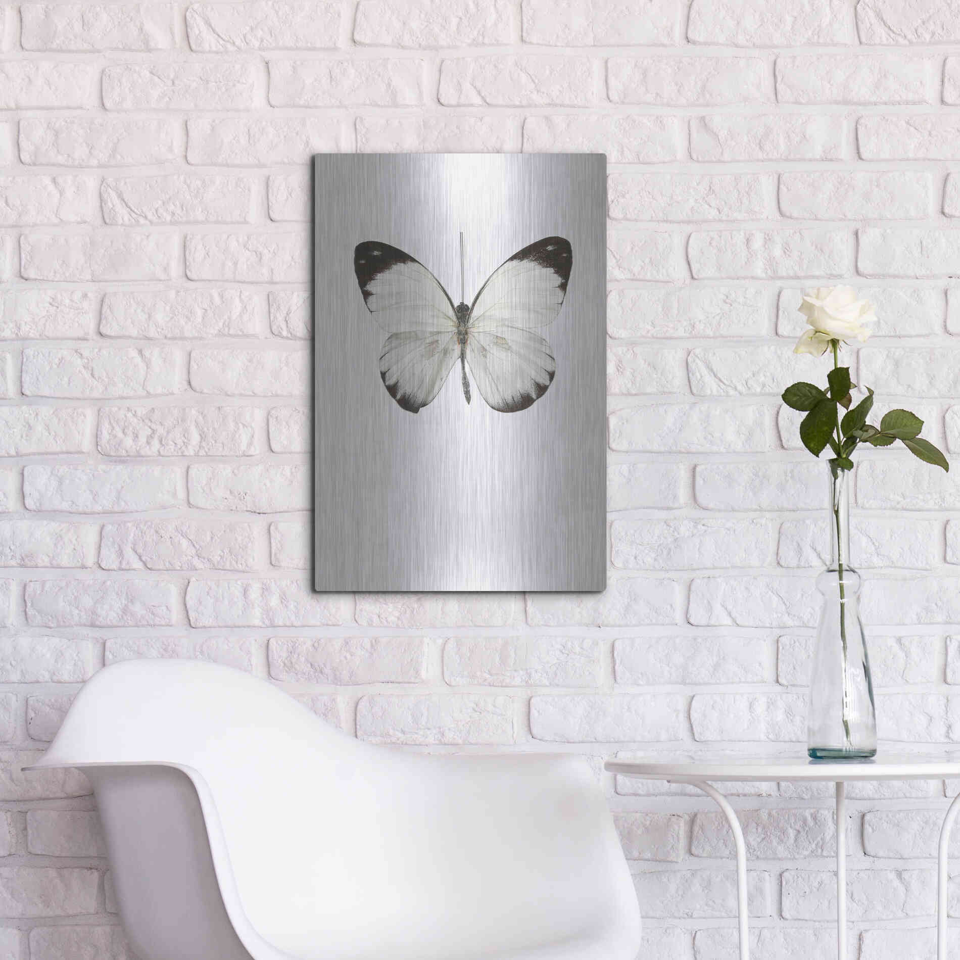 Luxe Metal Art 'Agrias Amydon 3' by Incado, Metal Wall Art,16x24
