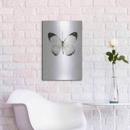 Luxe Metal Art 'Agrias Amydon 3' by Incado, Metal Wall Art,16x24