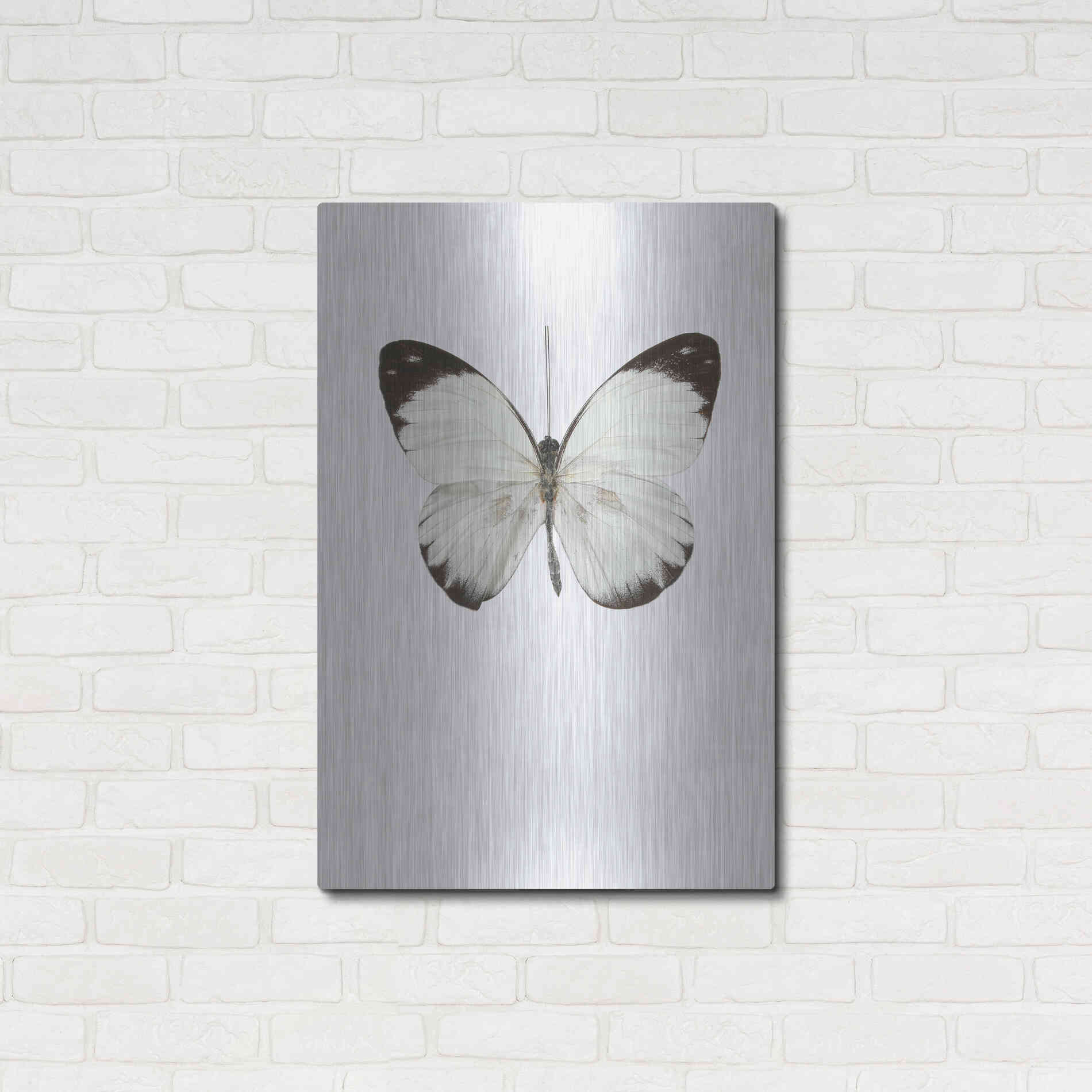 Luxe Metal Art 'Agrias Amydon 3' by Incado, Metal Wall Art,24x36