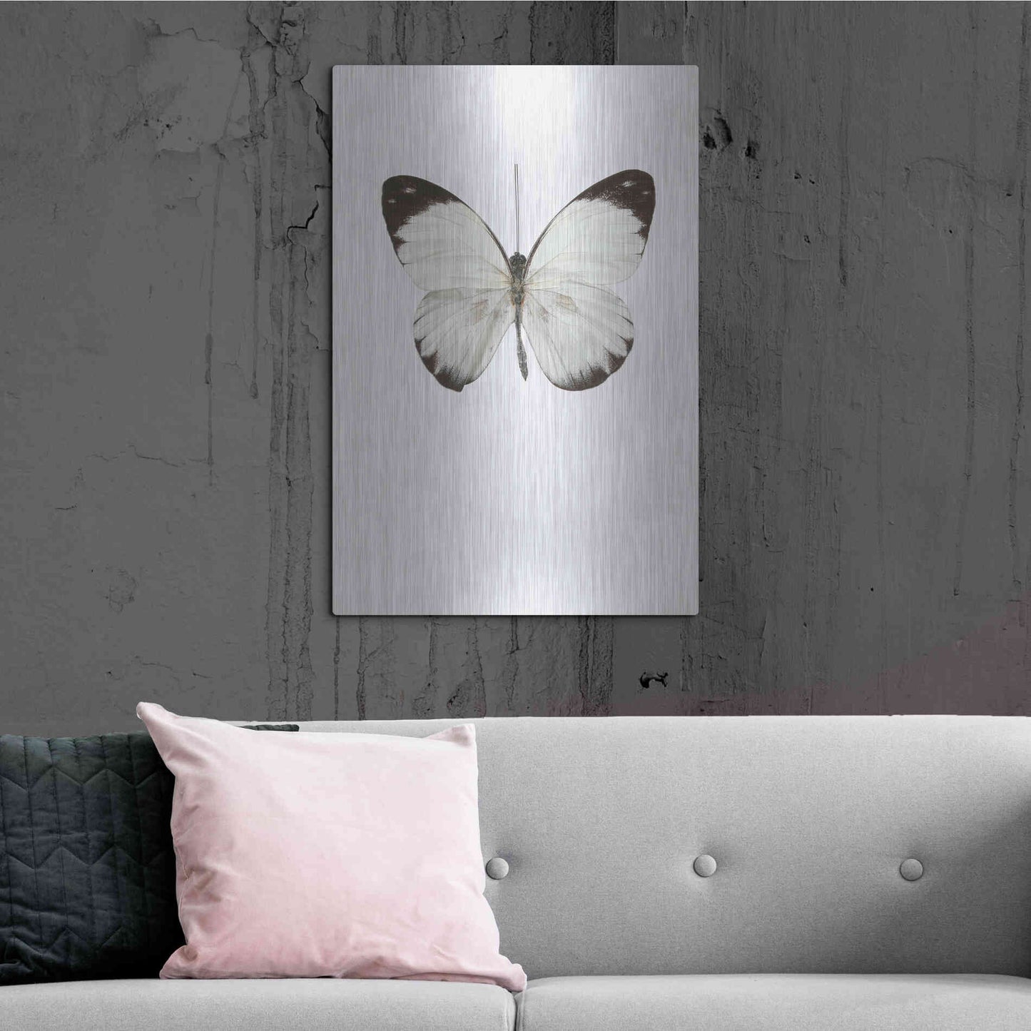 Luxe Metal Art 'Agrias Amydon 3' by Incado, Metal Wall Art,24x36