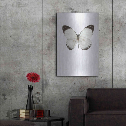 Luxe Metal Art 'Agrias Amydon 3' by Incado, Metal Wall Art,24x36