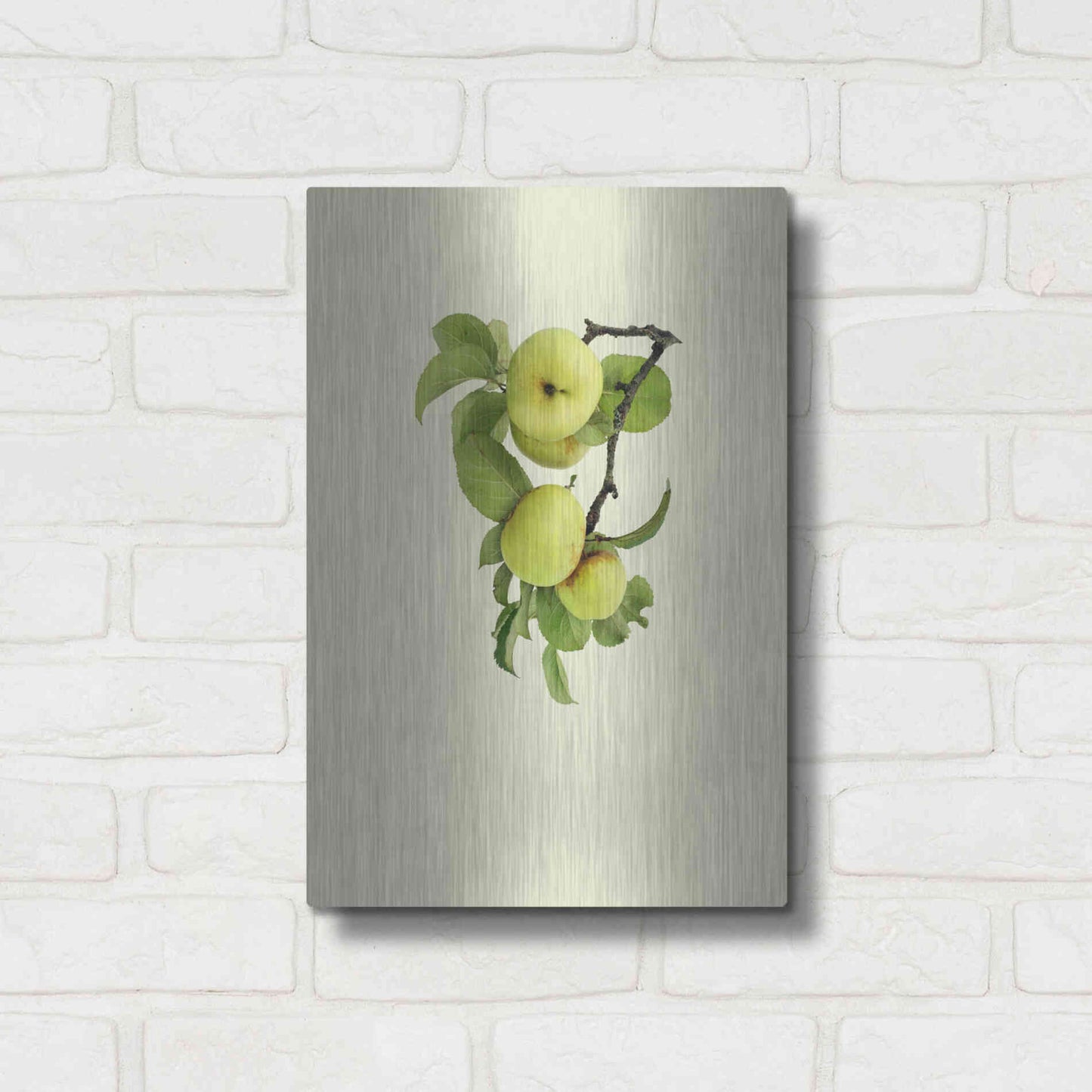 Luxe Metal Art 'Apple tree I' by Incado, Metal Wall Art,12x16