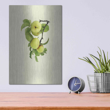 Luxe Metal Art 'Apple tree I' by Incado, Metal Wall Art,12x16