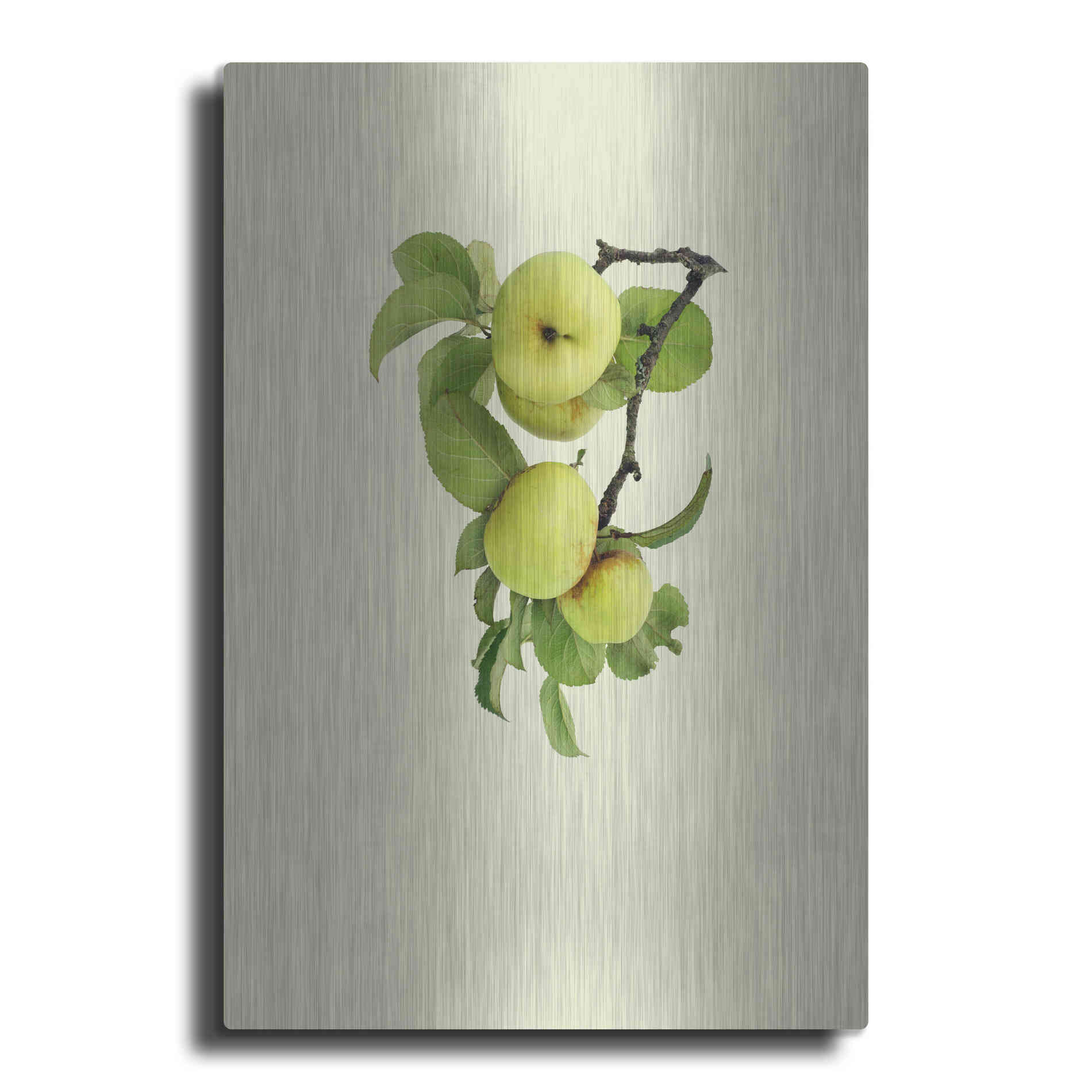 Luxe Metal Art 'Apple tree I' by Incado, Metal Wall Art