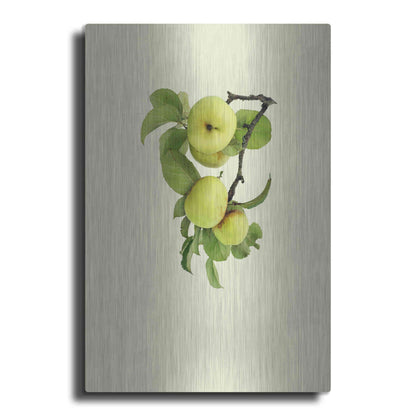 Luxe Metal Art 'Apple tree I' by Incado, Metal Wall Art