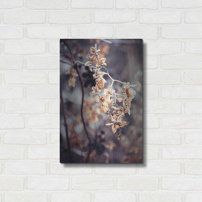 Luxe Metal Art 'Autumn II' by Incado, Metal Wall Art,16x24