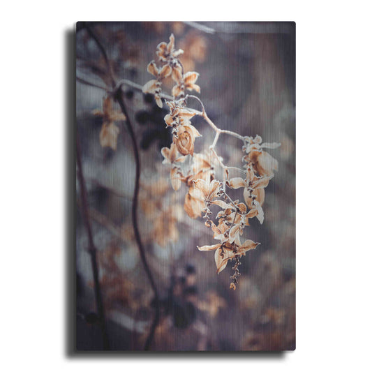 Luxe Metal Art 'Autumn II' by Incado, Metal Wall Art