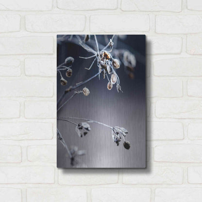 Luxe Metal Art 'Autumn III' by Incado, Metal Wall Art,12x16