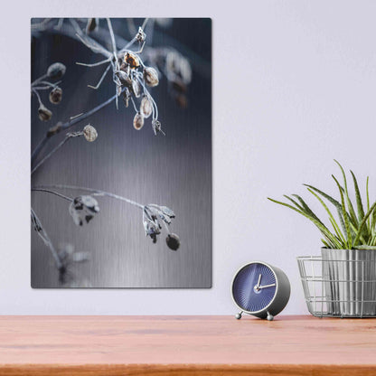 Luxe Metal Art 'Autumn III' by Incado, Metal Wall Art,12x16