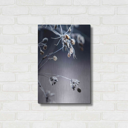 Luxe Metal Art 'Autumn III' by Incado, Metal Wall Art,16x24