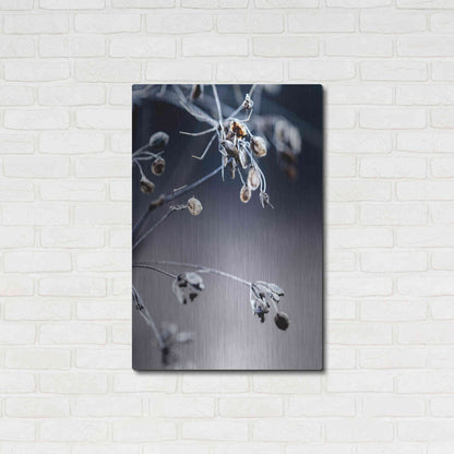 Luxe Metal Art 'Autumn III' by Incado, Metal Wall Art,24x36