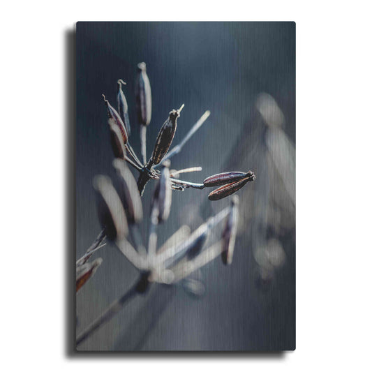 Luxe Metal Art 'Autumn IV' by Incado, Metal Wall Art